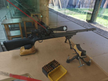 Armi Chiappa Carabina M1 Polymer 22lr: 2 cargadores, uso mínimo, estado perfecto. Sin fallos, ligera y 22