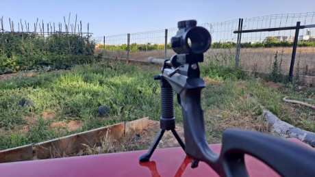 Bueno, para animar el foro un poco, propongo colgar fotos de dianas y arma usada para ello, pudiendo ser 161
