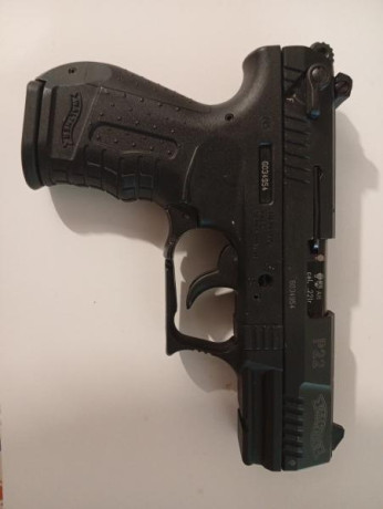 Buenos días, por motivos de cupo vendo walther p22 en estado casi nuevo, utilizado muy poco para precisión, 02