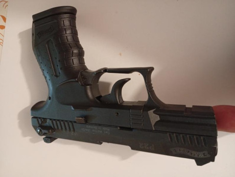Buenos días, por motivos de cupo vendo walther p22 en estado casi nuevo, utilizado muy poco para precisión, 21