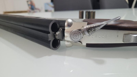 Buenas tardes.

  Vendo escopeta paralela calibre 410, muy poco uso, esta flamante, 5 chokes, culata cortada 01