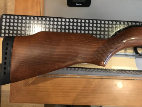 Carabina gamo cfx royal practicamente nueva ni una caja de balines usada, calibre 4,5  preciosa y precisa. 132