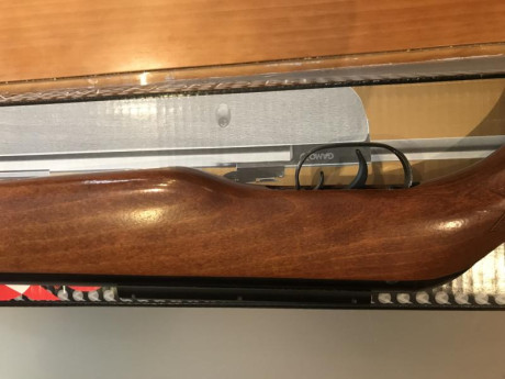 Carabina gamo cfx royal practicamente nueva ni una caja de balines usada, calibre 4,5  preciosa y precisa. 131
