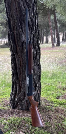 Benelli 121 autentica italiana con cañon manufrance saint-etienne 66 cm tres estrellas fijas ligera y 20