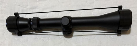 Vuelvo a poner en venta una carabina Anschutz 520, con un cargador, dispongo de otro cargador, con un 21