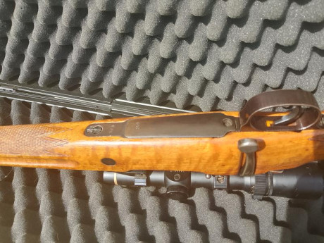 Vuelve a la venta...

Hola, lo vendo por falta de uso y unificar calibres.

Tiene instalado un gatillo 12