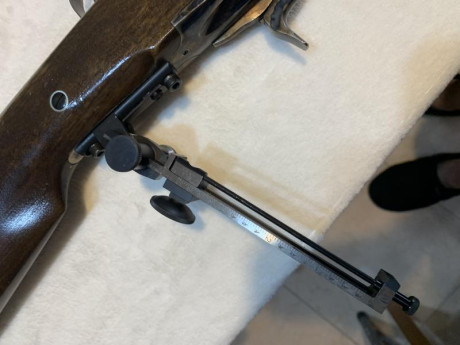 Rifle SHRP:  rifle Sharps 1874  CHIAPPA;  con visor micrométrico ( ortòpico con su repectivo, punto de 02