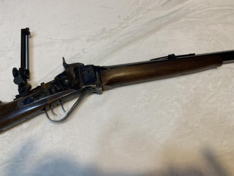 Rifle SHRP:  rifle Sharps 1874  CHIAPPA;  con visor micrométrico ( ortòpico con su repectivo, punto de 01