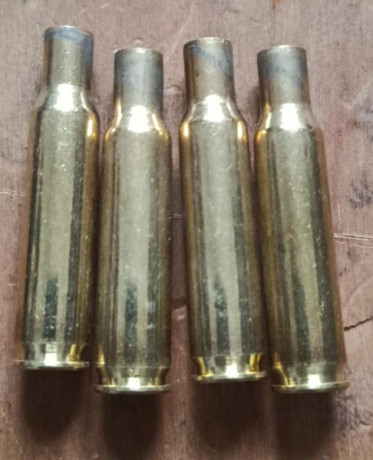 Lote 500 vainas 222 Remington, marca Sellier Bellot, un disparo con fusil cerrojo, conservan fulminante 00