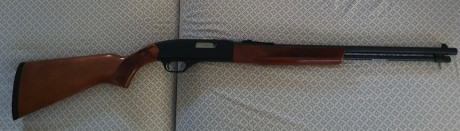 Carabina WINCHESTER modelo 290 con capacidad de 15+1 en perfecto estado. Precio 225€ Interesados 636 111 01