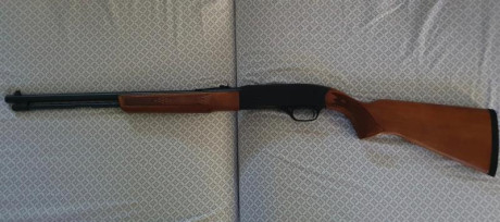 Carabina WINCHESTER modelo 290 con capacidad de 15+1 en perfecto estado. Precio 225€ Interesados 636 111 00