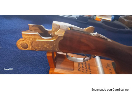 Hola vendo esta escopeta por no cazar ya la menor. Solo he cazado con ella , algunas codornices. Muy poco 22