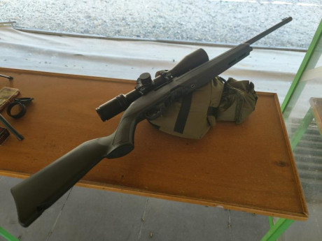 Buenas, compañeros.

Acabo de estrenar una Ruger 10/22, la más barata disponible (<380€). Llevaba tiempo 82