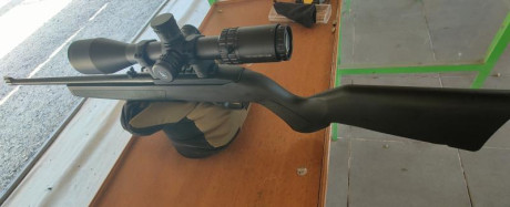 Buenas, compañeros.

Acabo de estrenar una Ruger 10/22, la más barata disponible (<380€). Llevaba tiempo 81