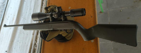 Buenas, compañeros.

Acabo de estrenar una Ruger 10/22, la más barata disponible (<380€). Llevaba tiempo 80