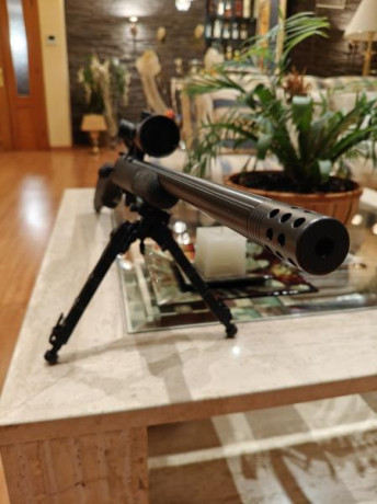 Hola,

Vendo Ceska synthetic 455 con cañon pesado varmint, 22lr.

-Visor Vector Optics Aston 3-18x44 con 01