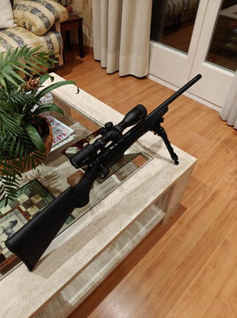 Hola,

Vendo Ceska synthetic 455 con cañon pesado varmint, 22lr.

-Visor Vector Optics Aston 3-18x44 con 00