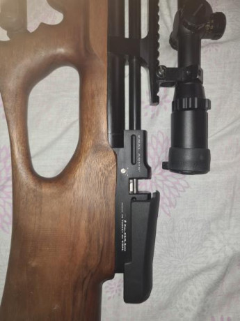 Se vende.
Con posibilidad del equipo completo, incluyendo bomba de alta calidad. Soy nuevo en este foro, 01
