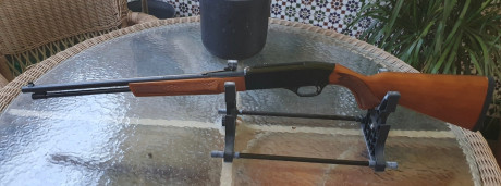 Carabina Semiautomatica WINCHESTER modelo 290 con capacidad 15+1. De orientacion Deportiva con una configuración 02
