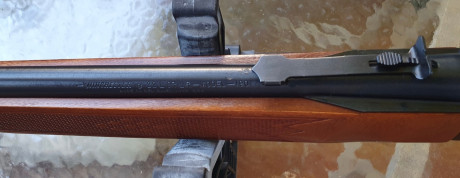 Carabina Semiautomatica WINCHESTER modelo 290 con capacidad 15+1. De orientacion Deportiva con una configuración 01