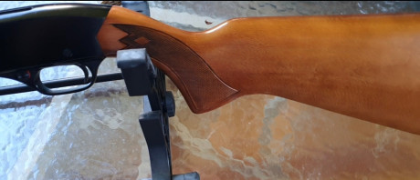 Carabina Semiautomatica WINCHESTER modelo 290 con capacidad 15+1. De orientacion Deportiva con una configuración 00