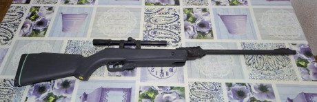 Vendo 2 carabinas Gamo Delta por 110 € el lote. Recogida en mano en zona Corredor del Henares. Buen estado 00