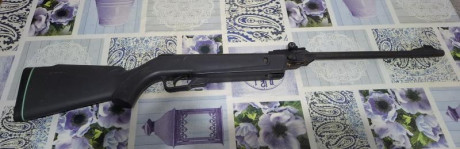Vendo 2 carabinas Gamo Delta por 110 € el lote. Recogida en mano en zona Corredor del Henares. Buen estado 10