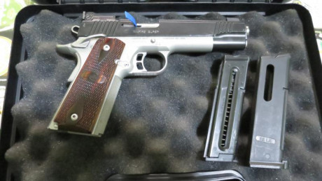 Busco esta pistola del calibre 22

Saludos. 00