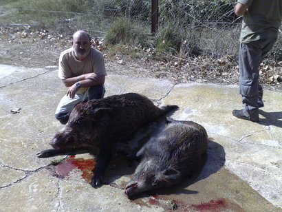 Cual me recomendais para caza de xabarín en batida?La mayoría de mis amigos cazan con calibre 30.06 y 51