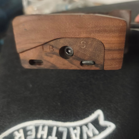 Cacha Walther GSP (Talla S)
Se vende cacha para pistola de competición Walther GSP.
Talla: S (Pequeña).
Estado: 30