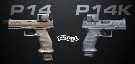 Hola buenas, os propongo mis dudas y a ver si podeis ayudarme con ellas, dudo entre varias pistolas como 122