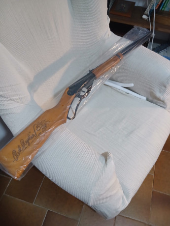 Buenas
Oferto una pareja de carabinas tipo infantil/cadete EN PERFECTO ESTADO.

1- carabina Daisy Modelo 11
