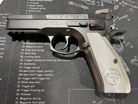 Vendo   Pistola CZ 75 SP-01 Shadow 1   Cal. 9×19. 
Recién revisada por armero, cambiados los muelles y 12