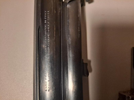 Buenas,

Hace poco compré una escopeta Franchi Dominator para iniciarme en el tiro al plato, de momento 31