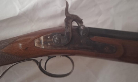 Hola. Un amigo mio, anciano y enfermo, deja la afición y vende sus armas. El caso es que no quiere andar 110