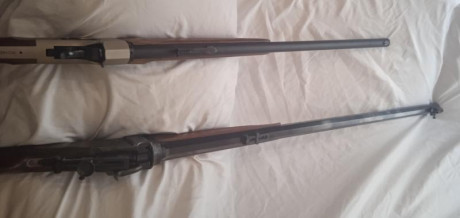 Hola. Un amigo mio, anciano y enfermo, deja la afición y vende sus armas. El caso es que no quiere andar 130