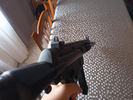 Vendo esta carabina porque me he aburrido de ella y no la uso. Es una carabina semiautomática del 22lr 00