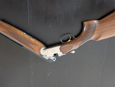 Se vende Beretta sporting Silver Pigeon 
Muy poco uso. Estuche original y cinco choques.
La escopeta está 00