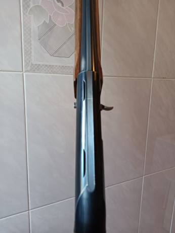 Se vende escopeta Fabarm Lion H368..
Ojo. No es mía. Me ha dicho un amigo que se lo ponga en venta.
Tiene 31