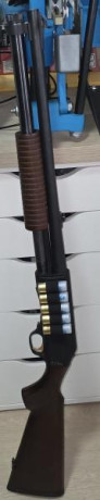 Estimados.
Cambio una escopeta de corredera Fabarm Sdass Wood, con cañon para bala y alzas de rifle, por 00