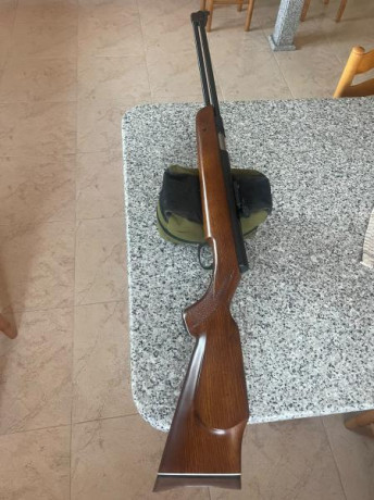 Hola, cambio weihrauch hw 77 cal 4.5 modelo de culata clasica , la compré nueva hace años . No es la culata 11