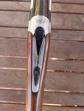 Vendo (es de un compañero) una escopeta Beretta S56E, restaurada, cañón de 71cm., 3-1*.
Se vende en 450€. 12