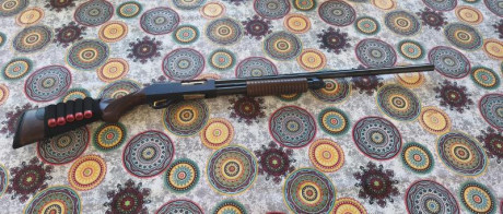Vendo escopeta de corredera Fabarm en buen estado por 300€.
Se puede ver en Onteniente  - Valencia. 01