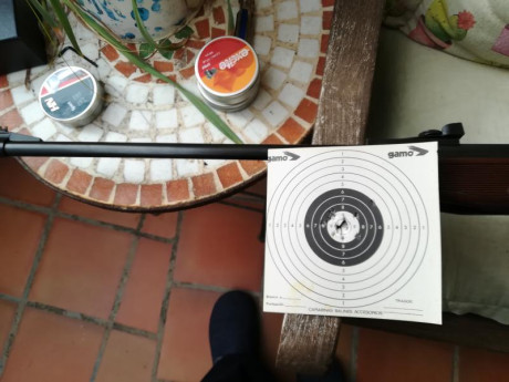 Hola, soy nuevo en este grupo y las carabinas que tengo, son más viejas que yo. Una cometa v, una gamo 71