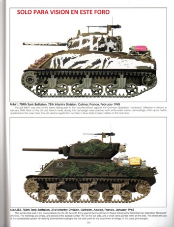 os quiero poner un estudio sobre las versiones de este emblemático carro...la idea es ir poniéndoos fotos 01