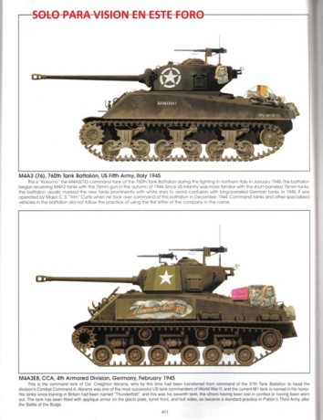 os quiero poner un estudio sobre las versiones de este emblemático carro...la idea es ir poniéndoos fotos 00