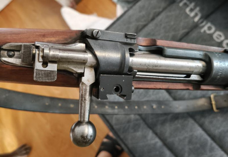 Buenos días.

Cambio mi rifle Carl Gustav 1915, en muy buen estado, adjunto un Vortex crossfire 2-7x32 20