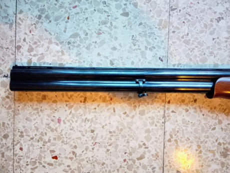 Vendo superpuesta Lanber calibre 12 en un estado de conservación excelente.
​Especificaciones y equipamiento:
​Cañón: 21