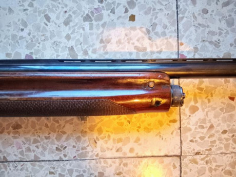 ​Vendo escopeta semiautomática Fabarm Modelo 130 en calibre 12 por exceso de armas en la guía.
​Características:
​Sistema: 11