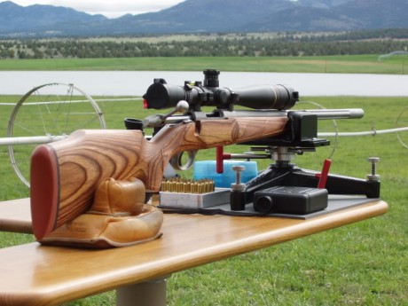 Hola a todos!
¿Alguen tiene conocimiento sobre el rifle marca "Saco" modelo 85 Varmint laminado 20